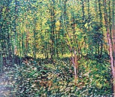 빈센트 반 고흐, (나무와 수풀,) 19세기, 캔버스에 유채, 반 고흐 미술관