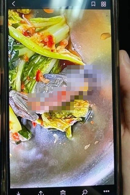 A여고 급식서 발견된 개구리 사체가 트위터에 올라오며 확산됐다. (트위터 제공)