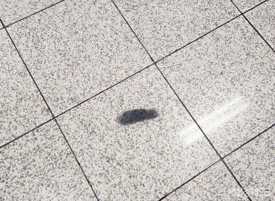 서울지하철 9호선 당산역 승강장이다. 먼지가 굴러다닌다. [사진= 정수남 기자]