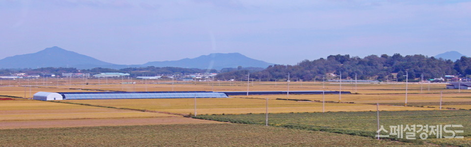 전북 김제, 부안의 황금 들판. [사진=정수남 기자]