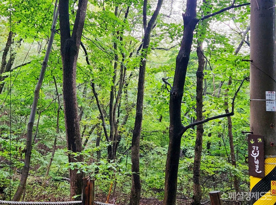 이곳시 광주시 구간이지만, 성남시 누비길 1구간이기도 하다. 등산객이 많은 이유다. [사진=정수남 기자]