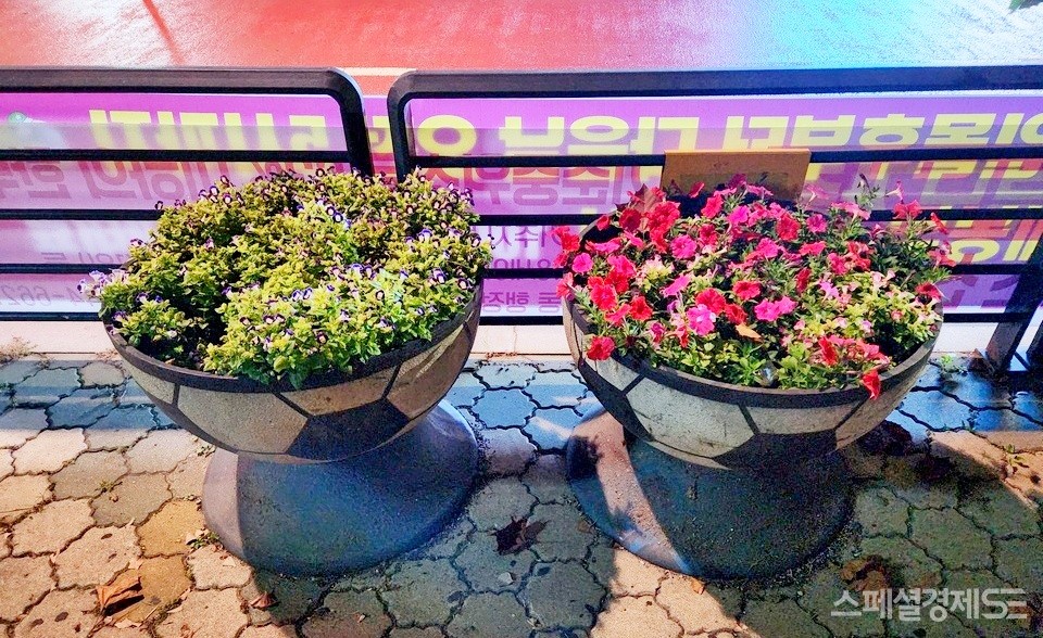 수도권 도시가 인도에 화분을 놓았다. [사진=정수남 기자]