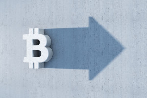 벤처캐피탈 1년 새 9곳 문 닫아...교공 ‘루키 리그’가 신생 VC 살리나? - 뉴스 썸네일 이미지